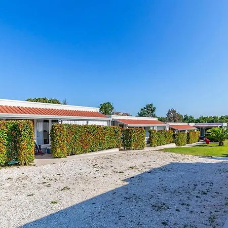 Lägenhet Rok 4 By Interhome