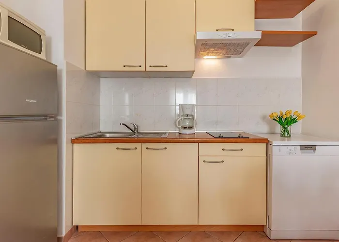 Rok 4 By Interhome Appartamento Pola